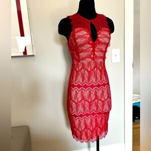 Bebe Pink lace cocktail dress women’s small (2/4)